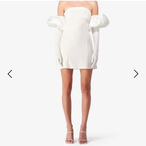 WHITE WOLF AND BADGER DRESS WITH PUFF AND GLOVES